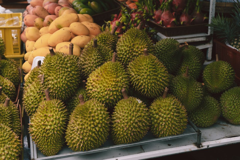 Xuất khẩu nông sản trọn gói